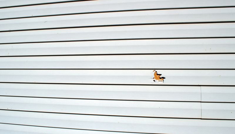 Experienced Vinyl Siding Expert